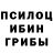 Псилоцибиновые грибы GOLDEN TEACHER Enrique Colin