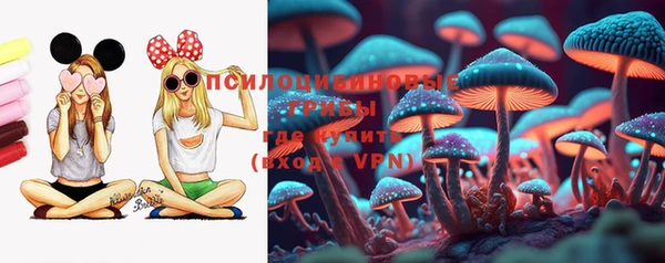 хмурый Абинск